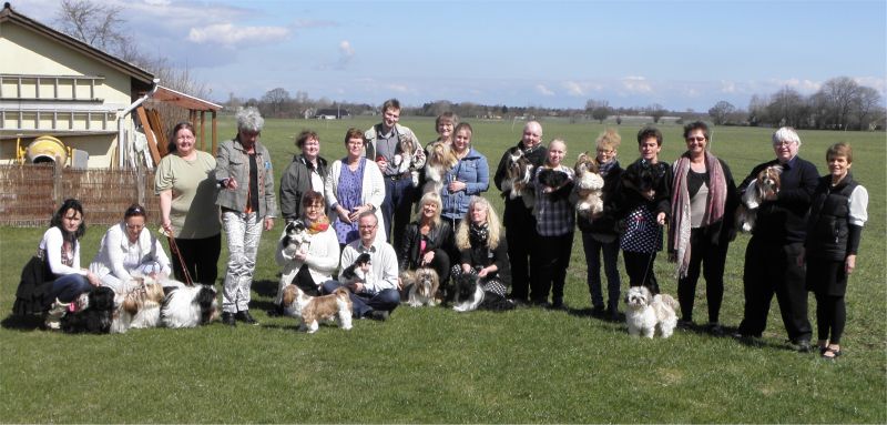 Shih Tzu Danmark 2013